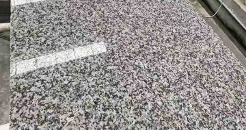 通辽 芙蓉白光面