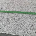 通辽芝麻白荔枝面质量