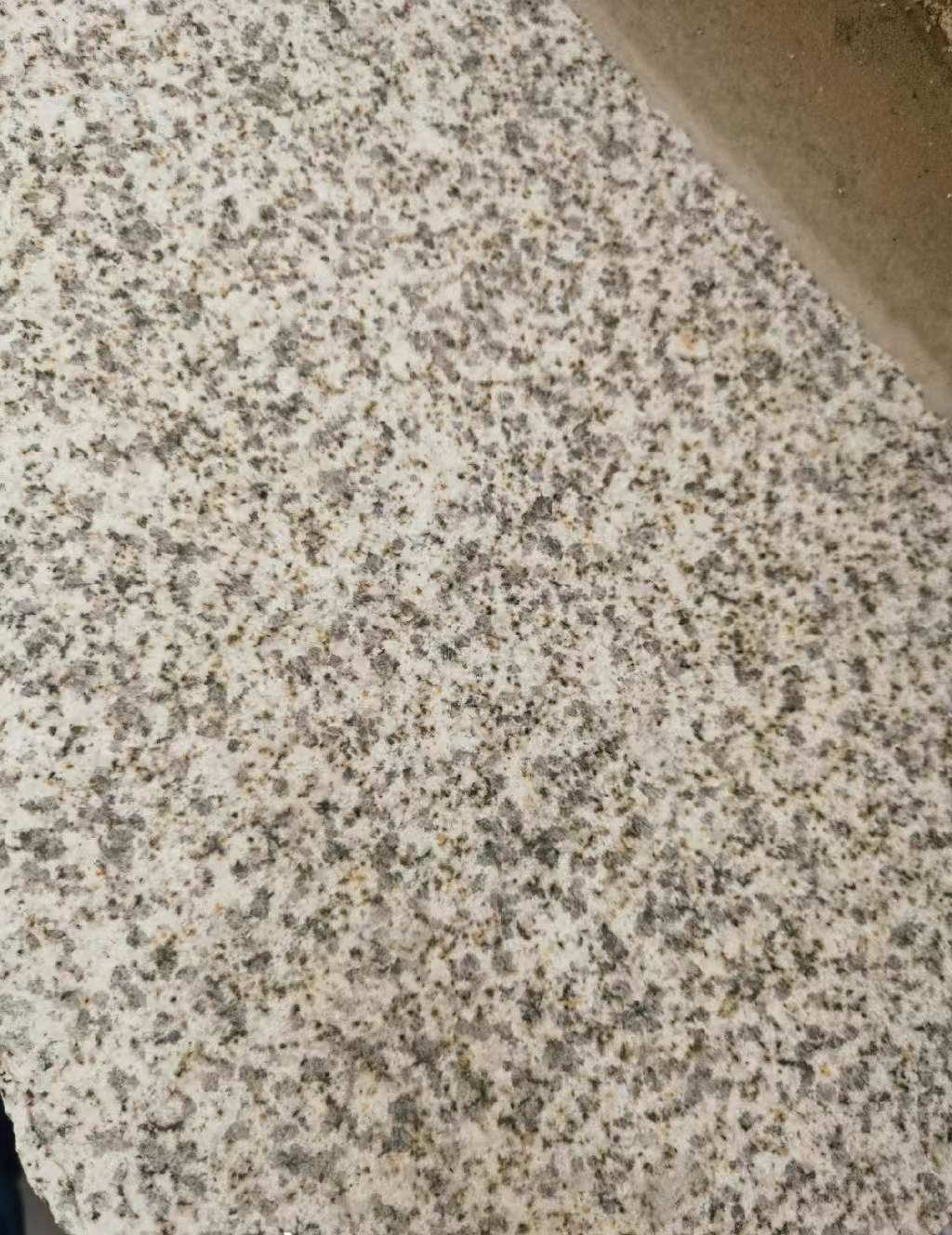 通辽 黄金麻中黄光面